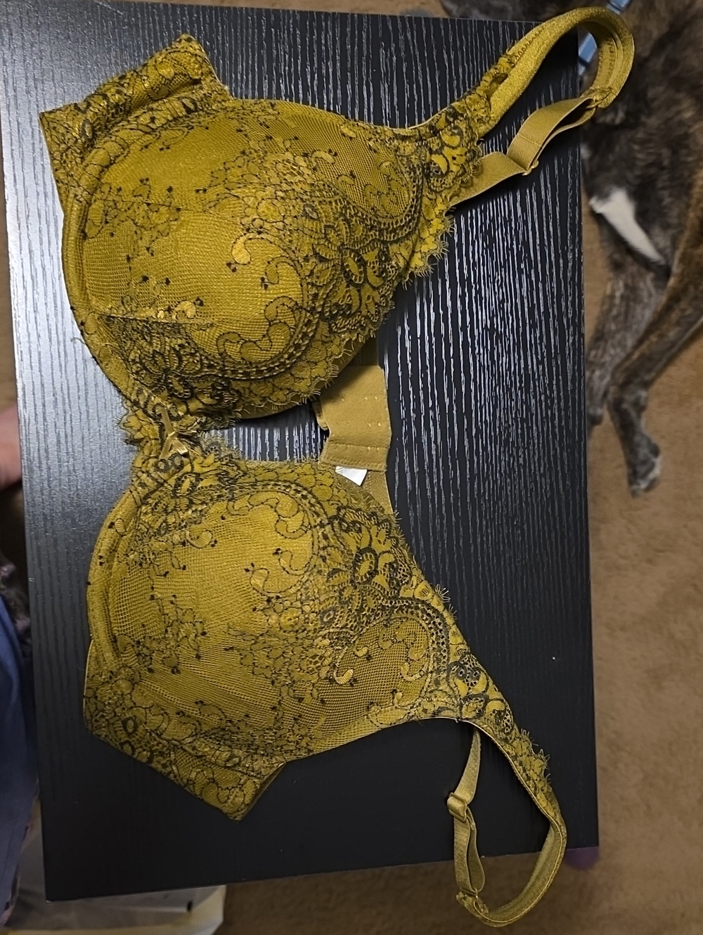 Cacique Olive Green Lace Underwire Bra